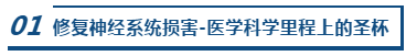 青春之泉: 亨廷顿蛋白（HTT）通过保持年轻状态来修复神经元