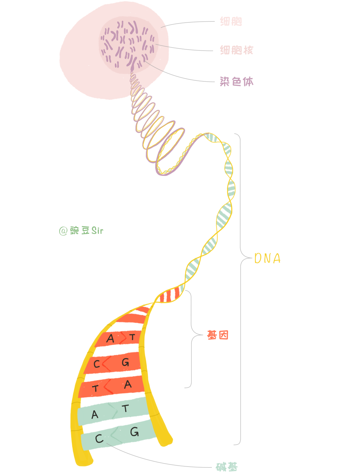 微信图片_20210302230159.png