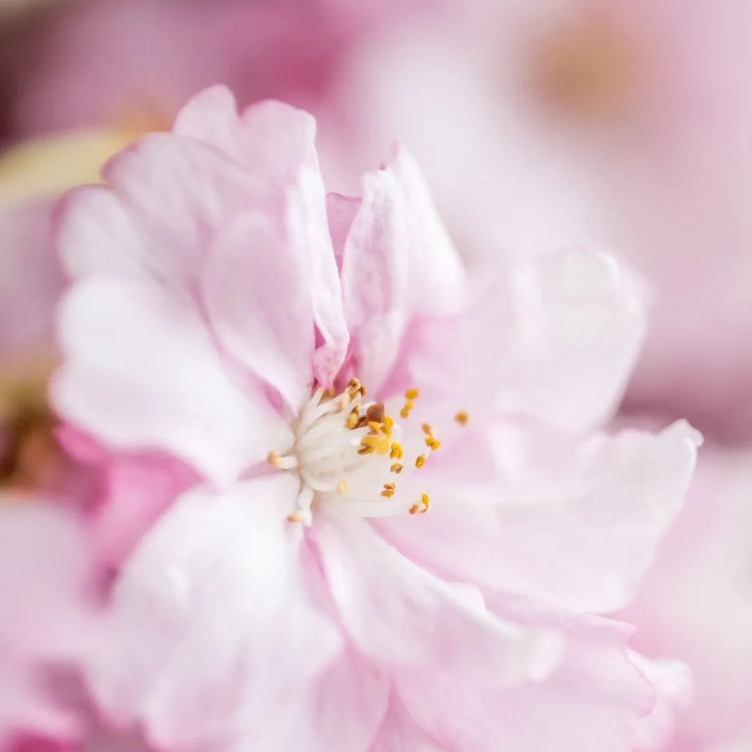 感恩有你，感谢这些生命里点点滴滴的温暖