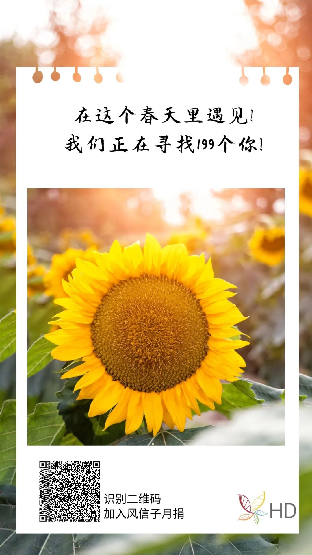 让我们在这个春天里遇见~寻找199个你!