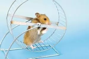 经常锻炼延缓亨廷顿舞蹈症发病4年