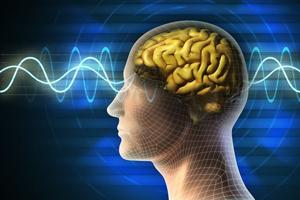 2017亨廷顿舞蹈症国际诊疗大会 -第三天 