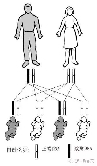 亨廷顿舞蹈病问与答-吴志英医生